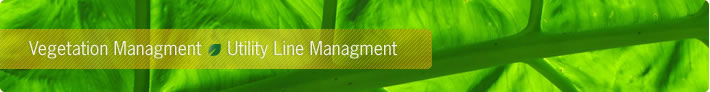 Vegetation Management Utility Line Management